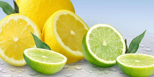 레몬의 효능과 역할